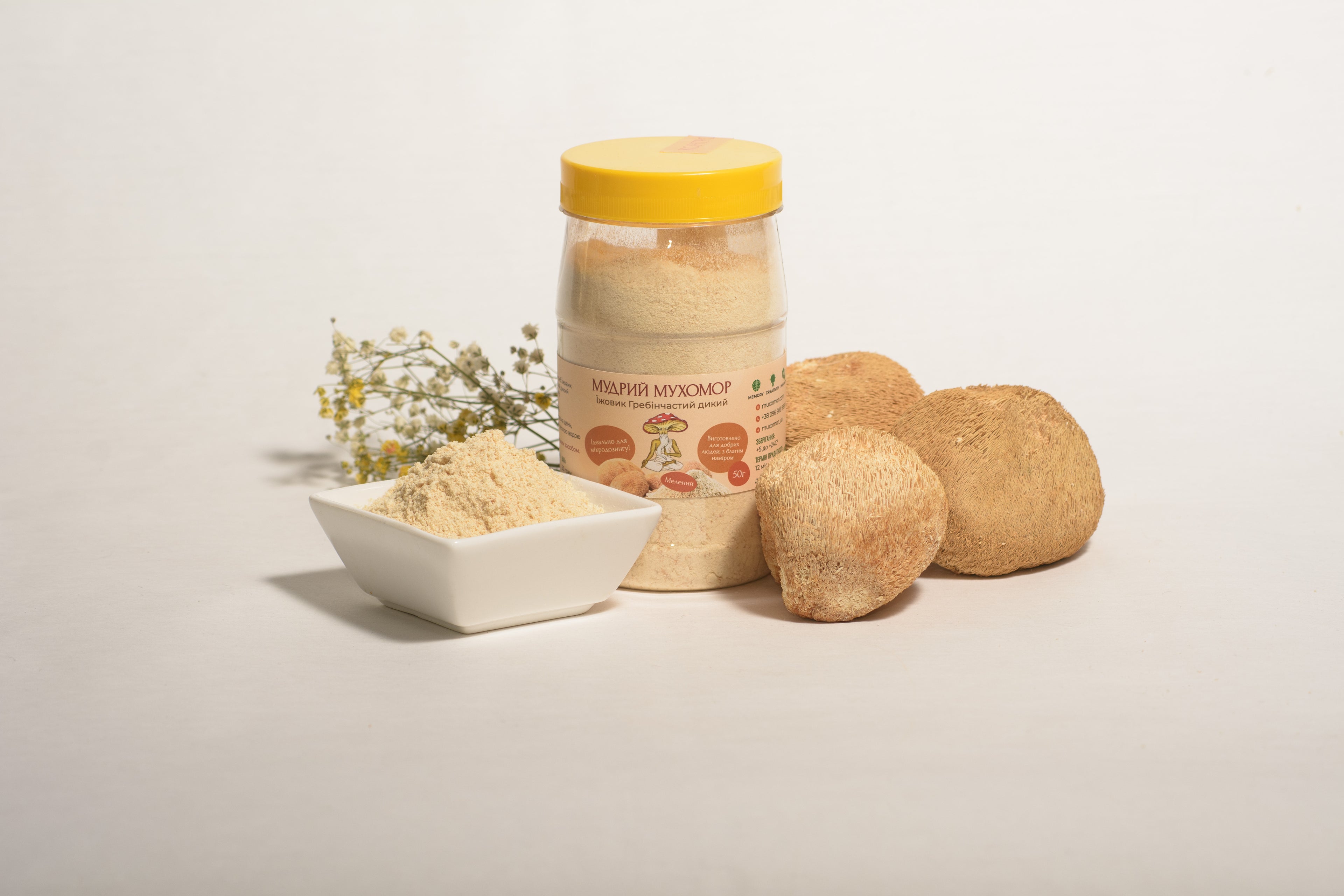 Мелені плодові тіла Їжовика гребінчастого