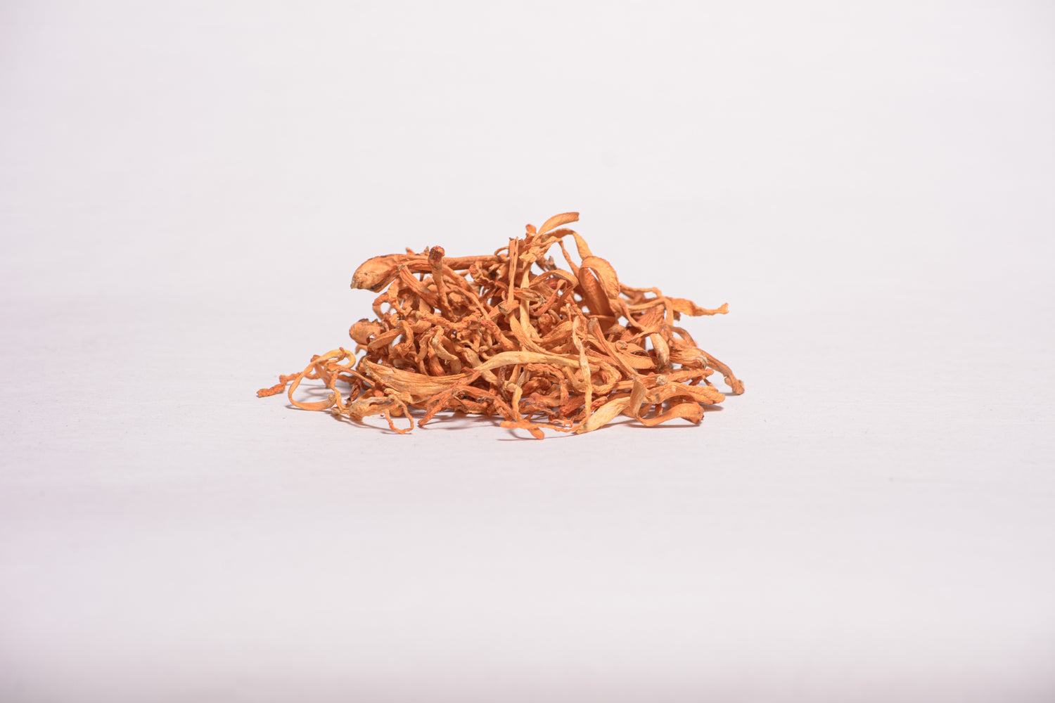 Цілі плодові тіла Кордицепса військового