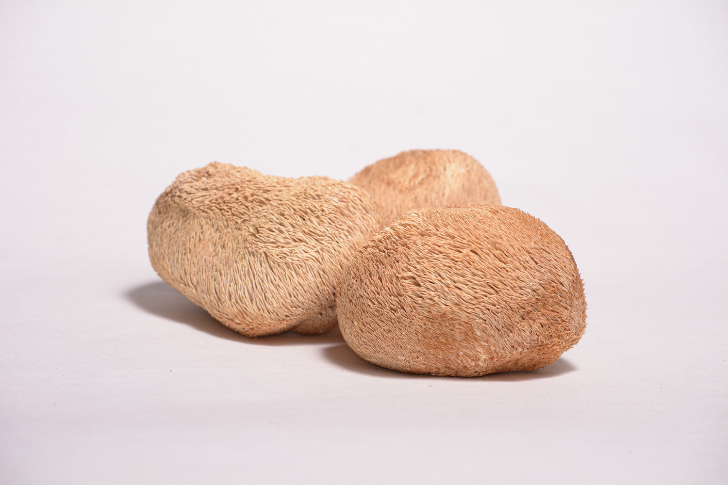 Їжовик гребінчастий у капсулах по 0.4 г