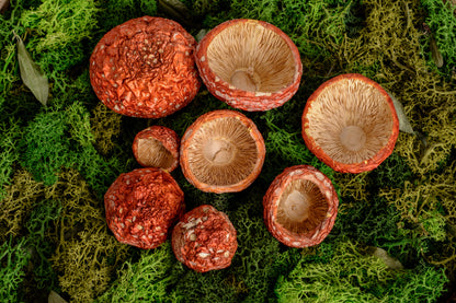 VIP нерозкриті капелюшки Мухомора червоного