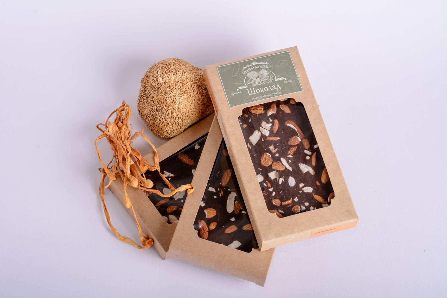 Шоколад грибний з екстрактами Їжовика гребінчастого та Кордицепса