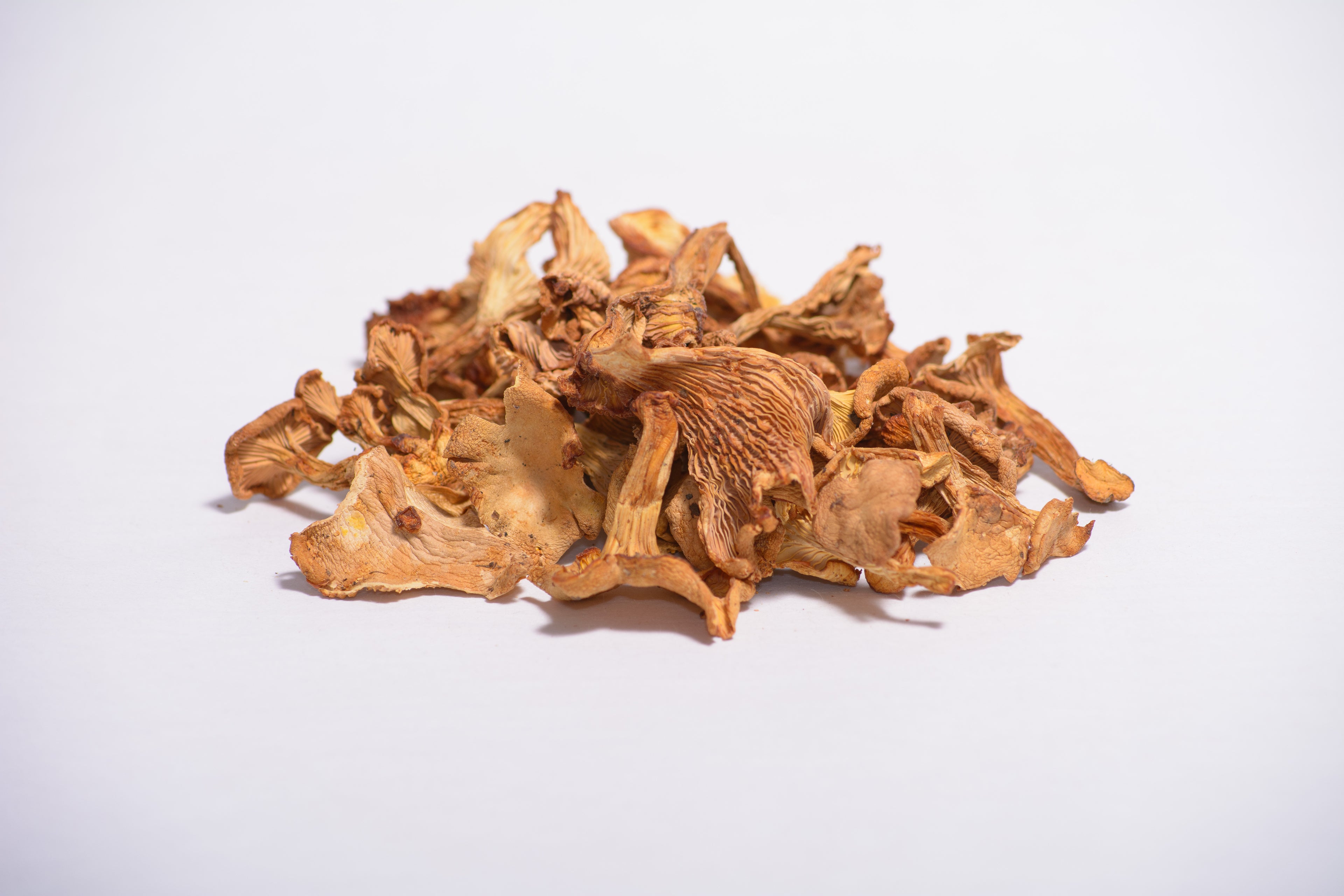 Цілі плодові тіла Лисички справжньої