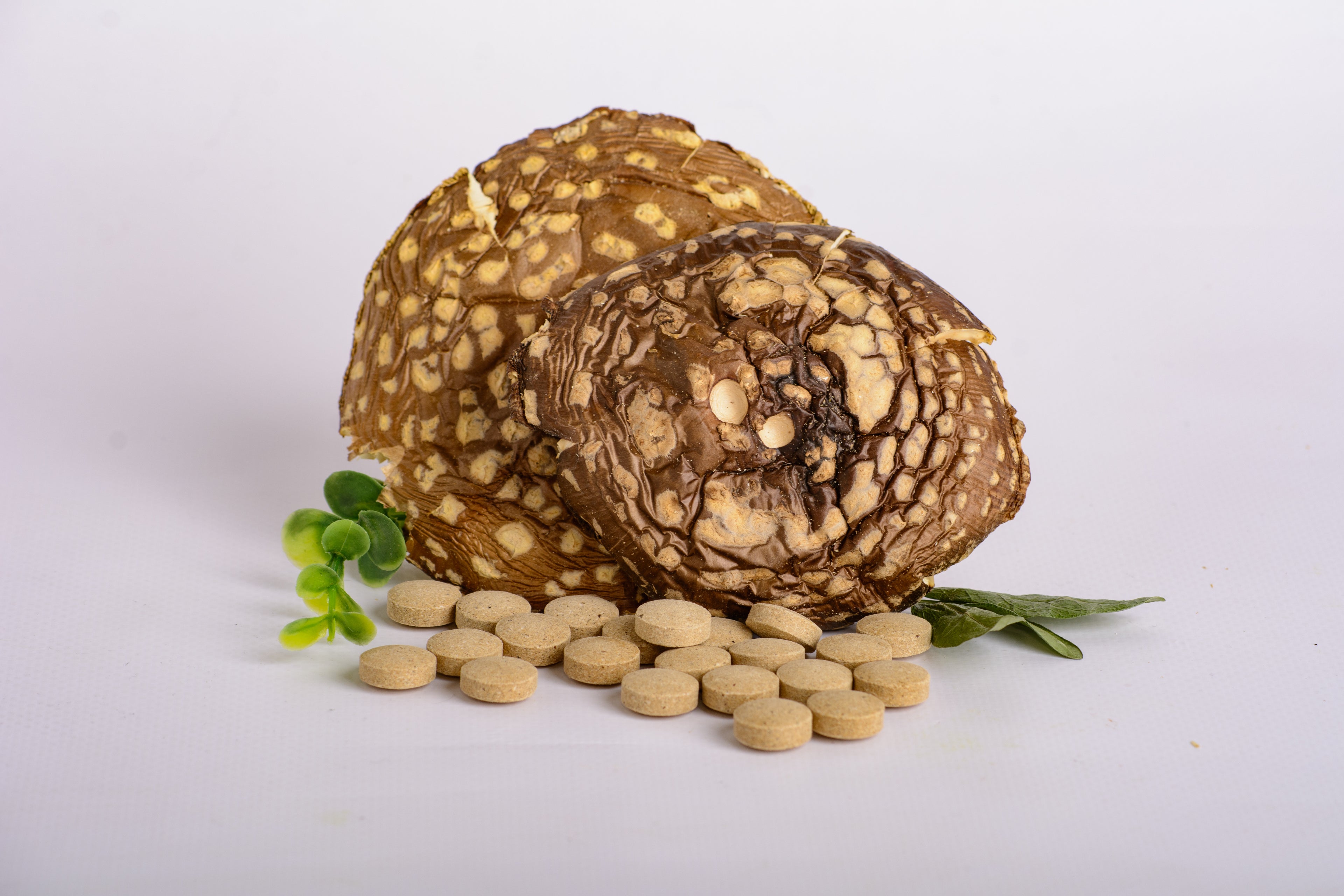 Пігулки Мухомора королівського по 0.4 г