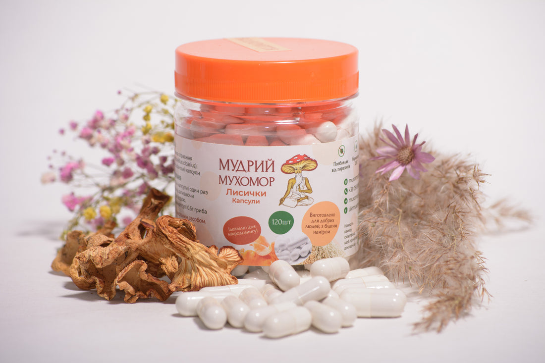 Лисичка справжня в капсулах по 0.5 г