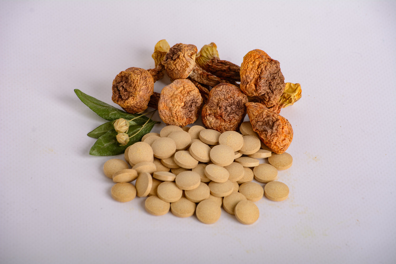 Агарік бразильський в пігулках по 0.4 г