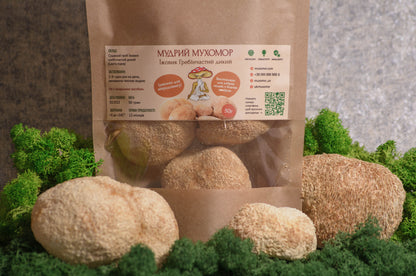 Цілі плодові тіла Їжовика гребінчастого