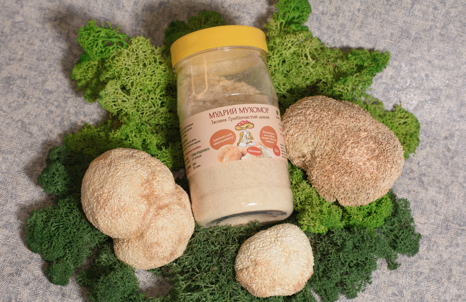 Мелені плодові тіла Їжовика гребінчастого