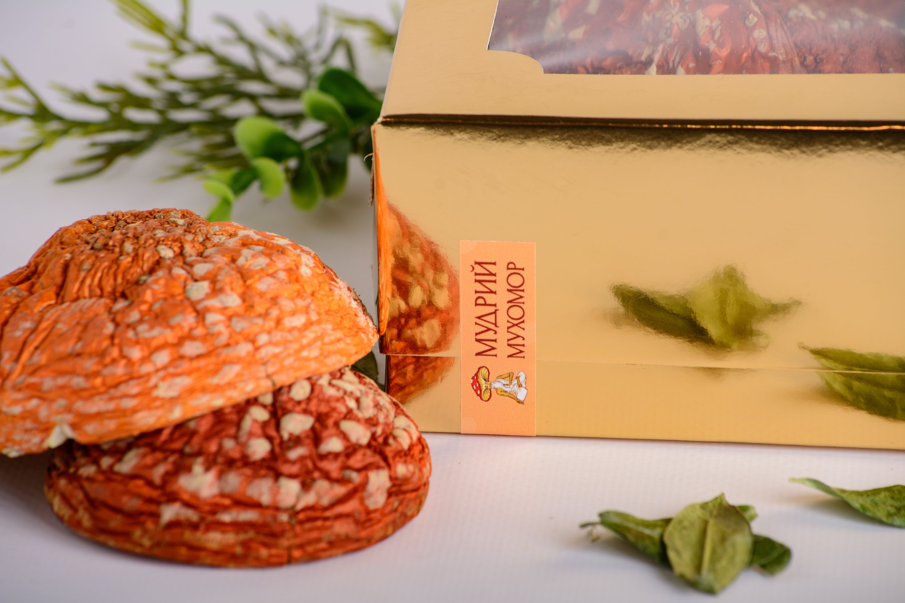 VIP нерозкриті капелюшки Мухомора червоного