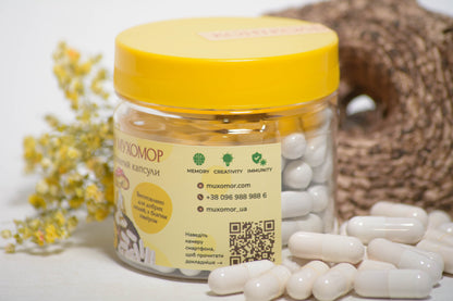 Їжовик строкатий в капсулах по 0.4 г