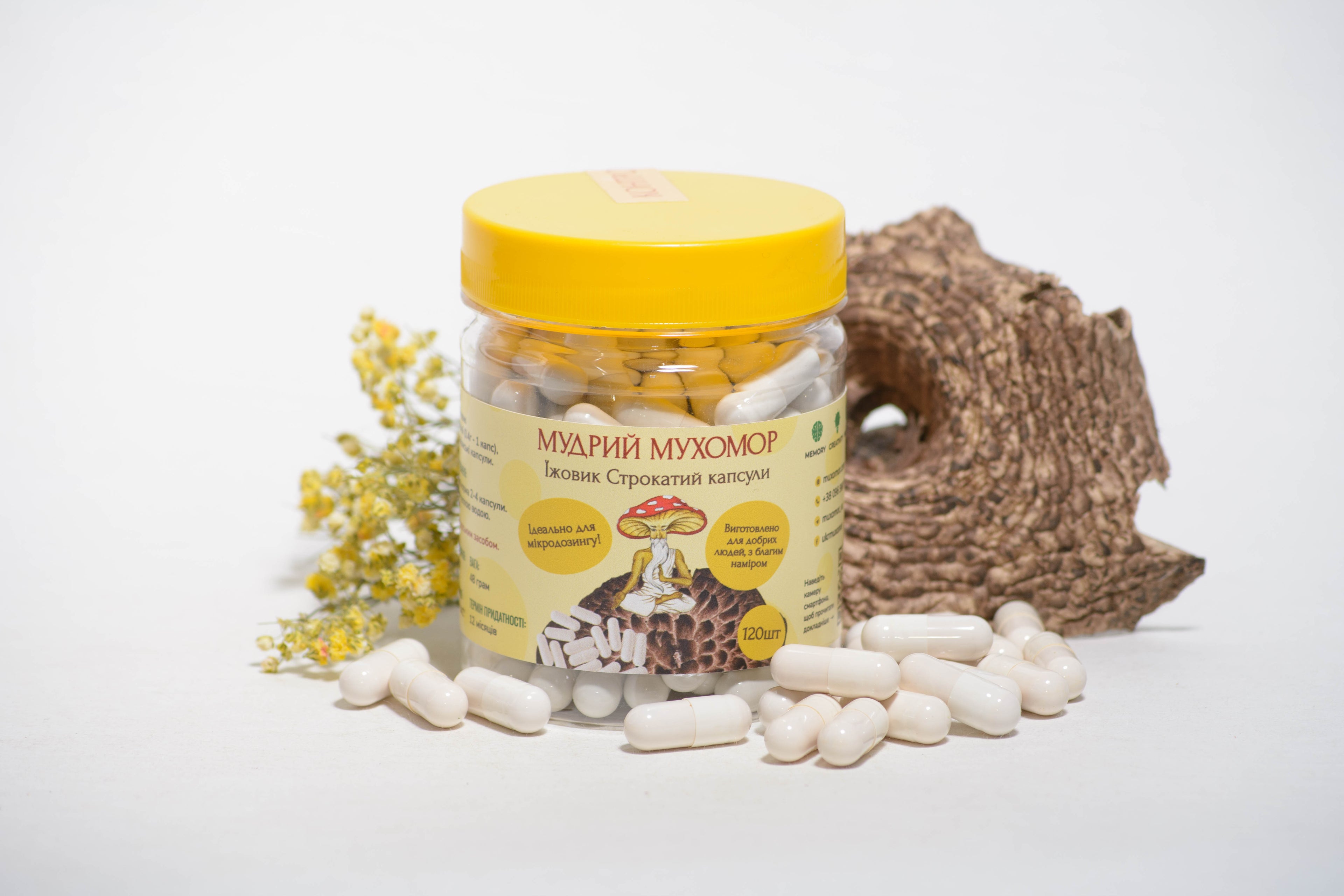 Їжовик строкатий в капсулах по 0.4 г