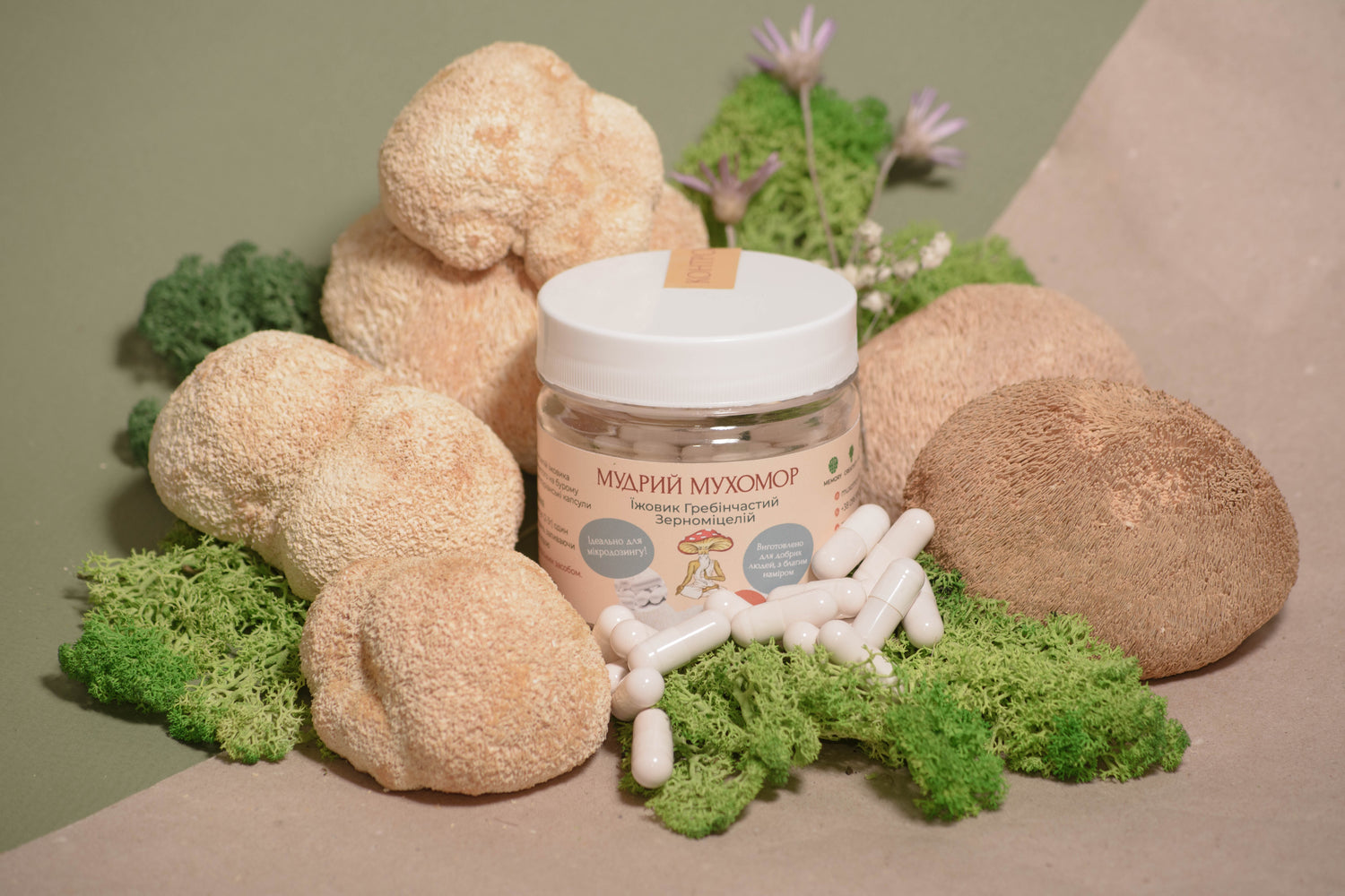 Їжовик гребінчаcтий міцелій в капсулах по 0.5 г