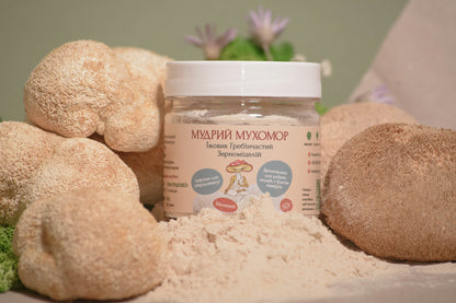 Їжовик гребінчаcтий міцелій, мелений