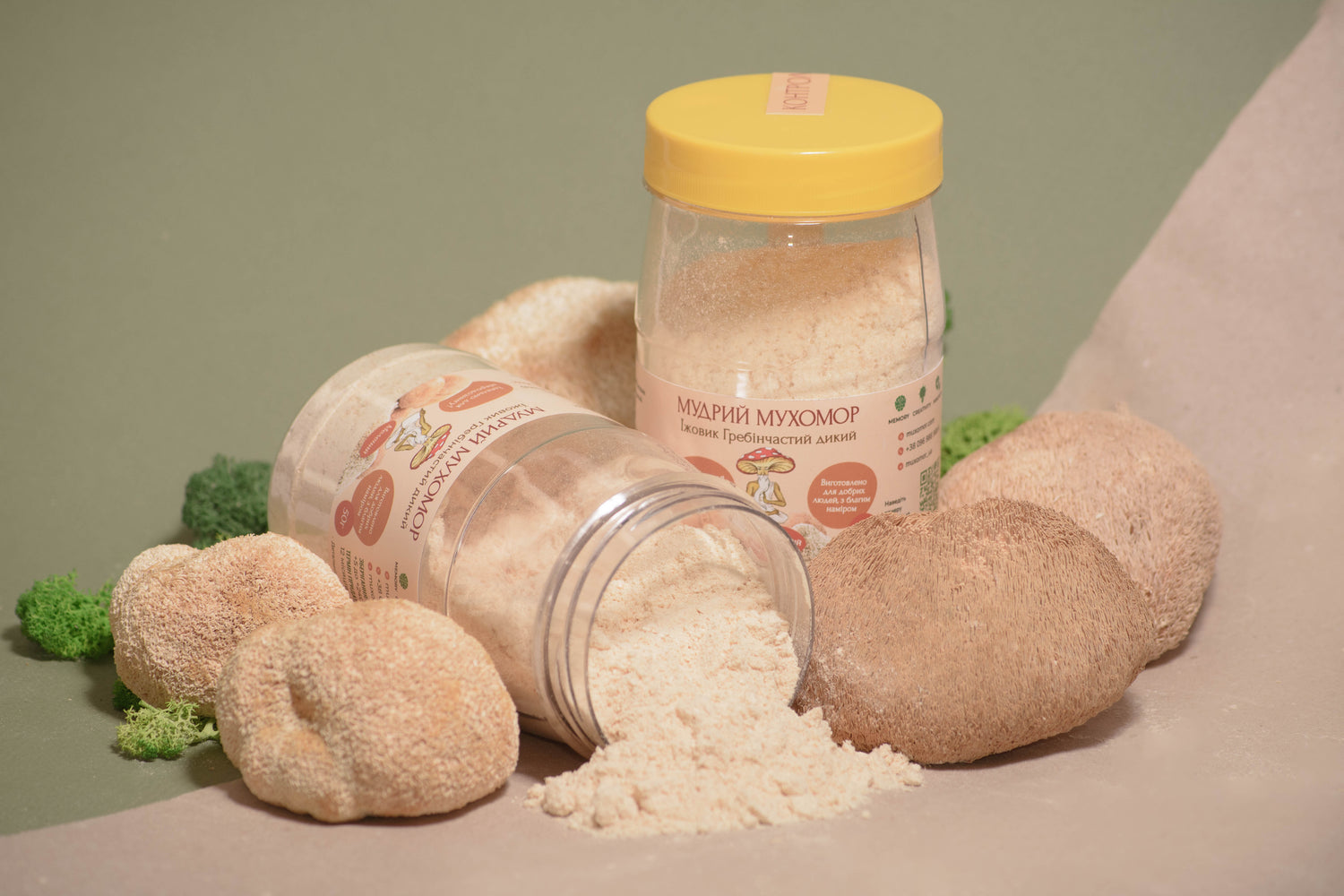 Мелені плодові тіла Їжовика гребінчастого