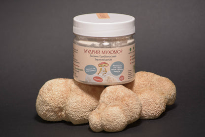 Їжовик гребінчаcтий міцелій, мелений