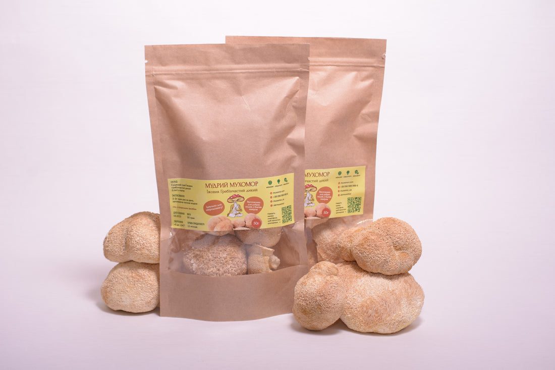 Цілі плодові тіла Їжовика гребінчастого