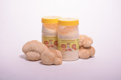 Мелені плодові тіла Їжовика гребінчастого