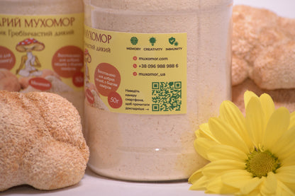 Мелені плодові тіла Їжовика гребінчастого