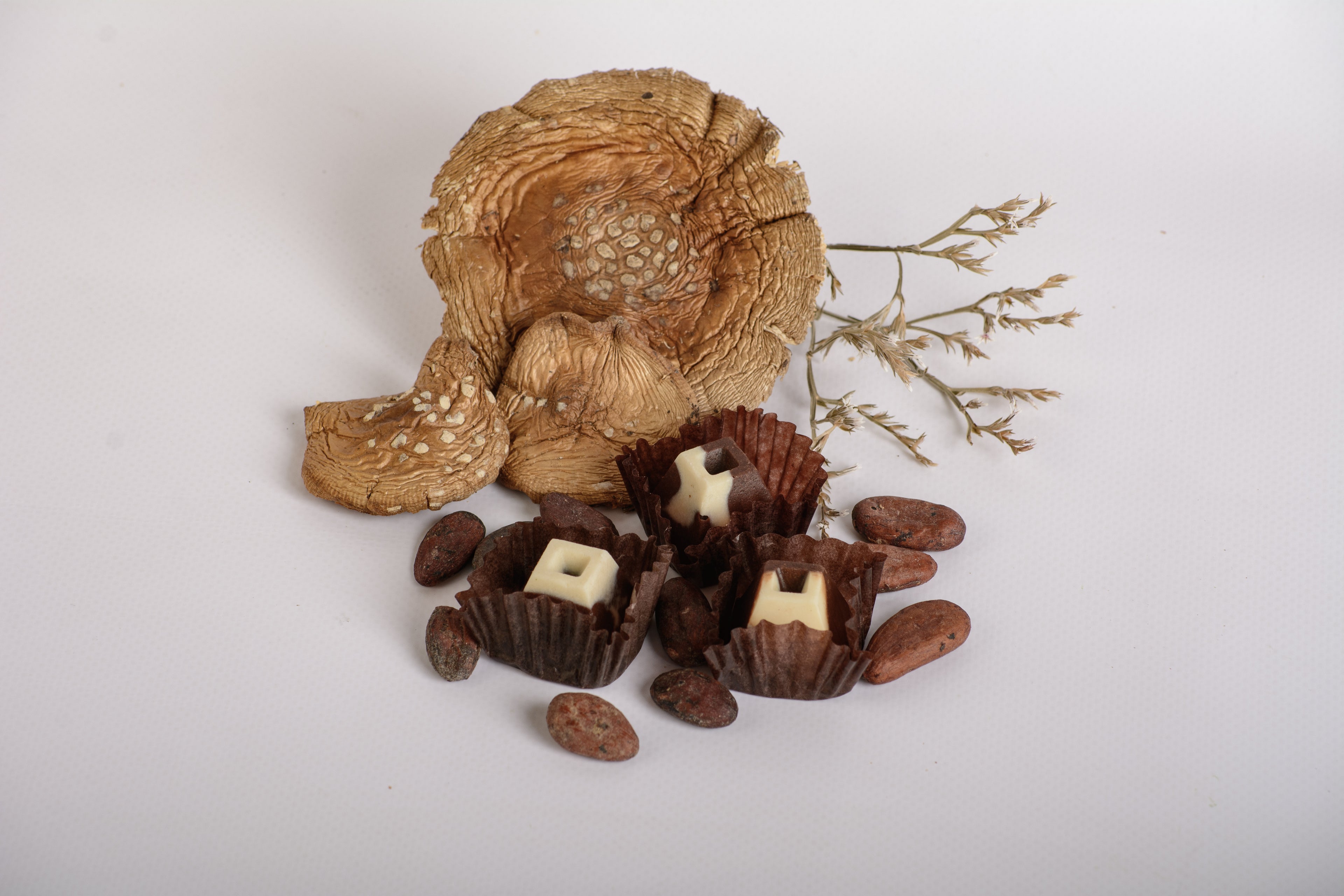 Шоколадні цукерки з Мухомором пантерним