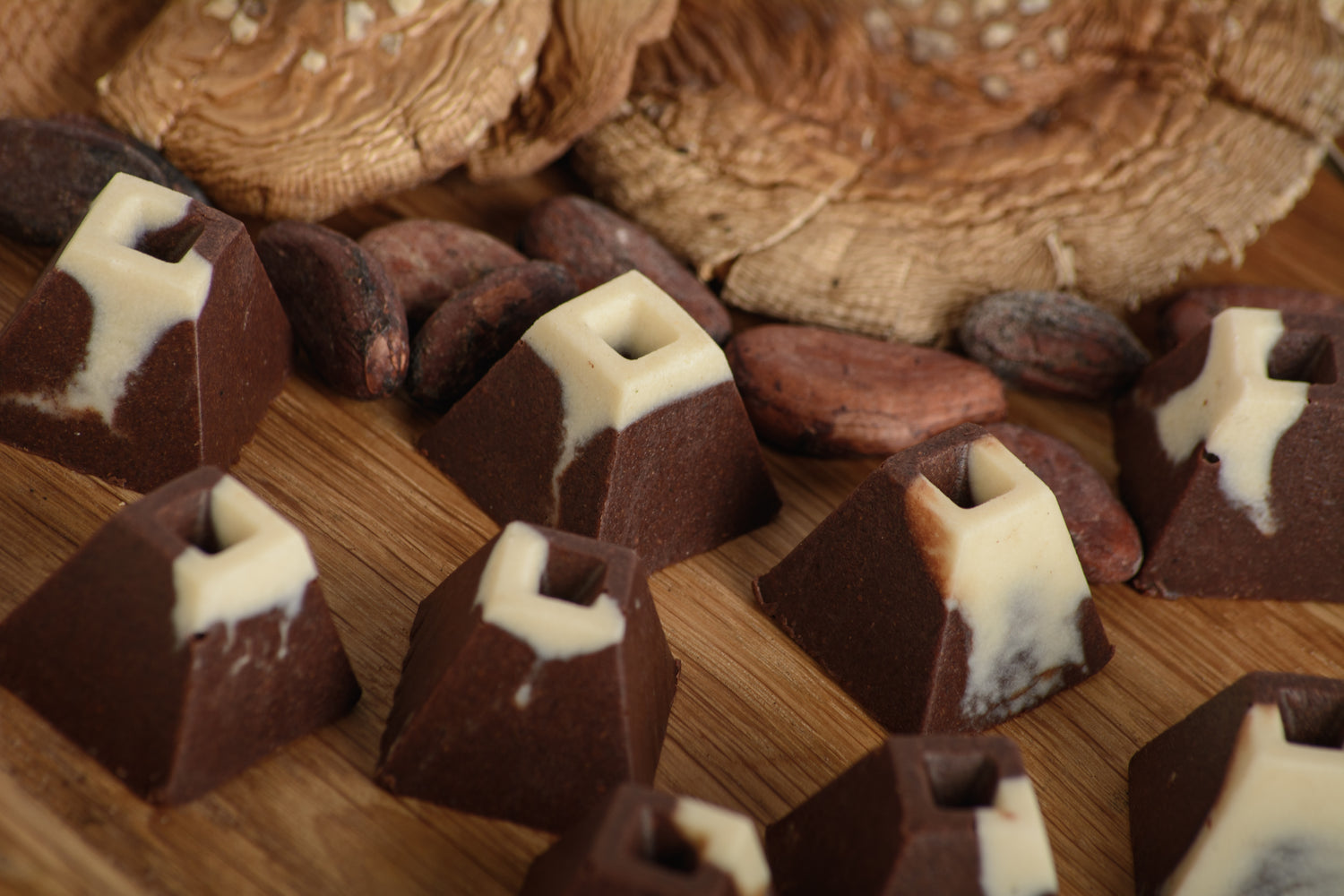 Шоколадні цукерки з Мухомором пантерним