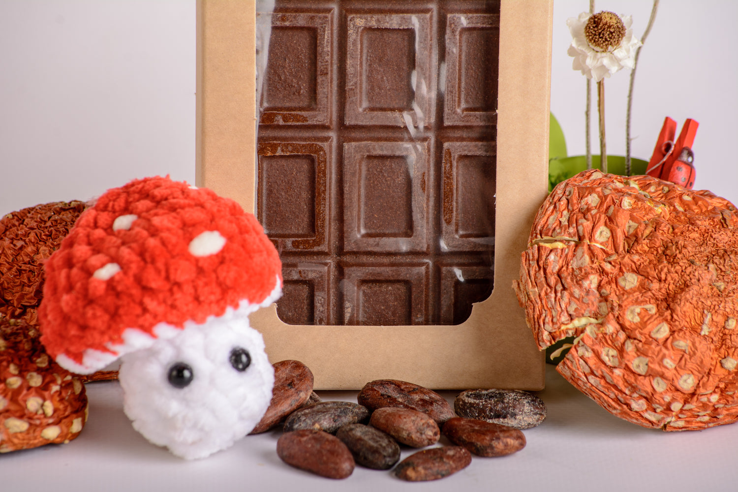 Шоколад грибний з Мухомором червоним