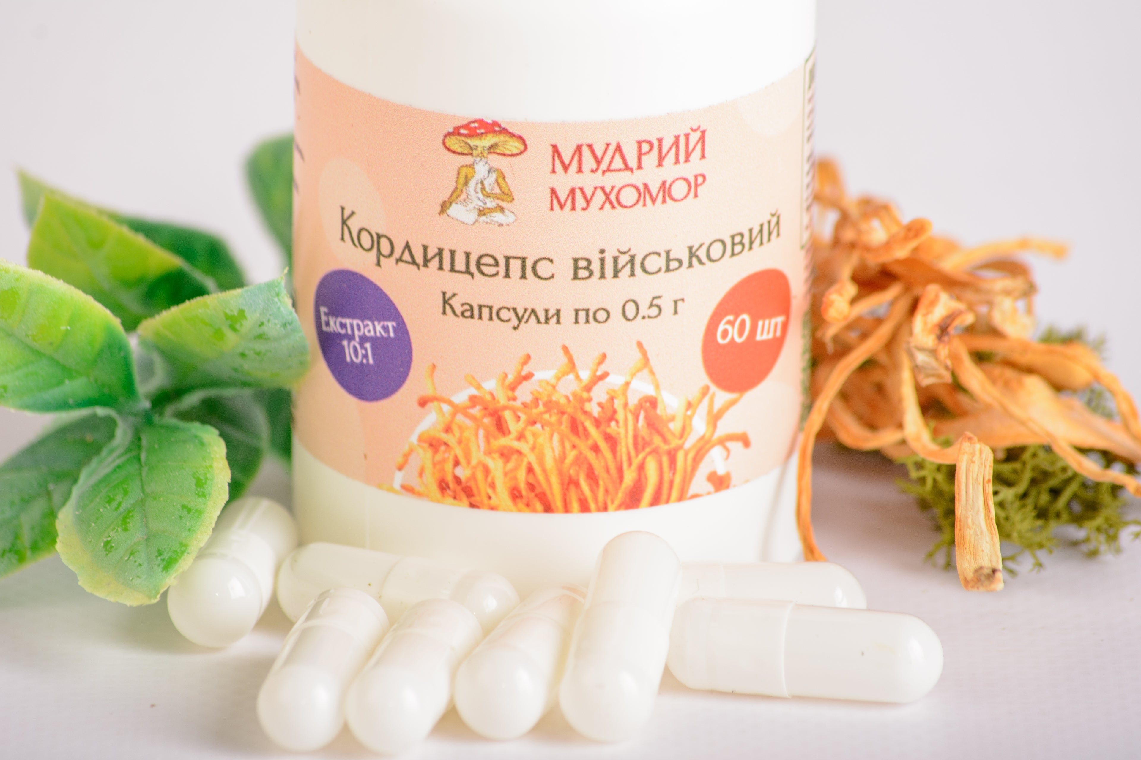 Екстракт Кордицепса військового 10:1 у капсулах по 0.5 г