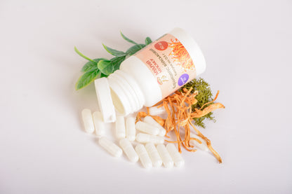 Екстракт Кордицепса військового 10:1 у капсулах по 0.5 г