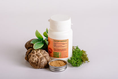 Екстракт Шиїтаке 10:1 мелений