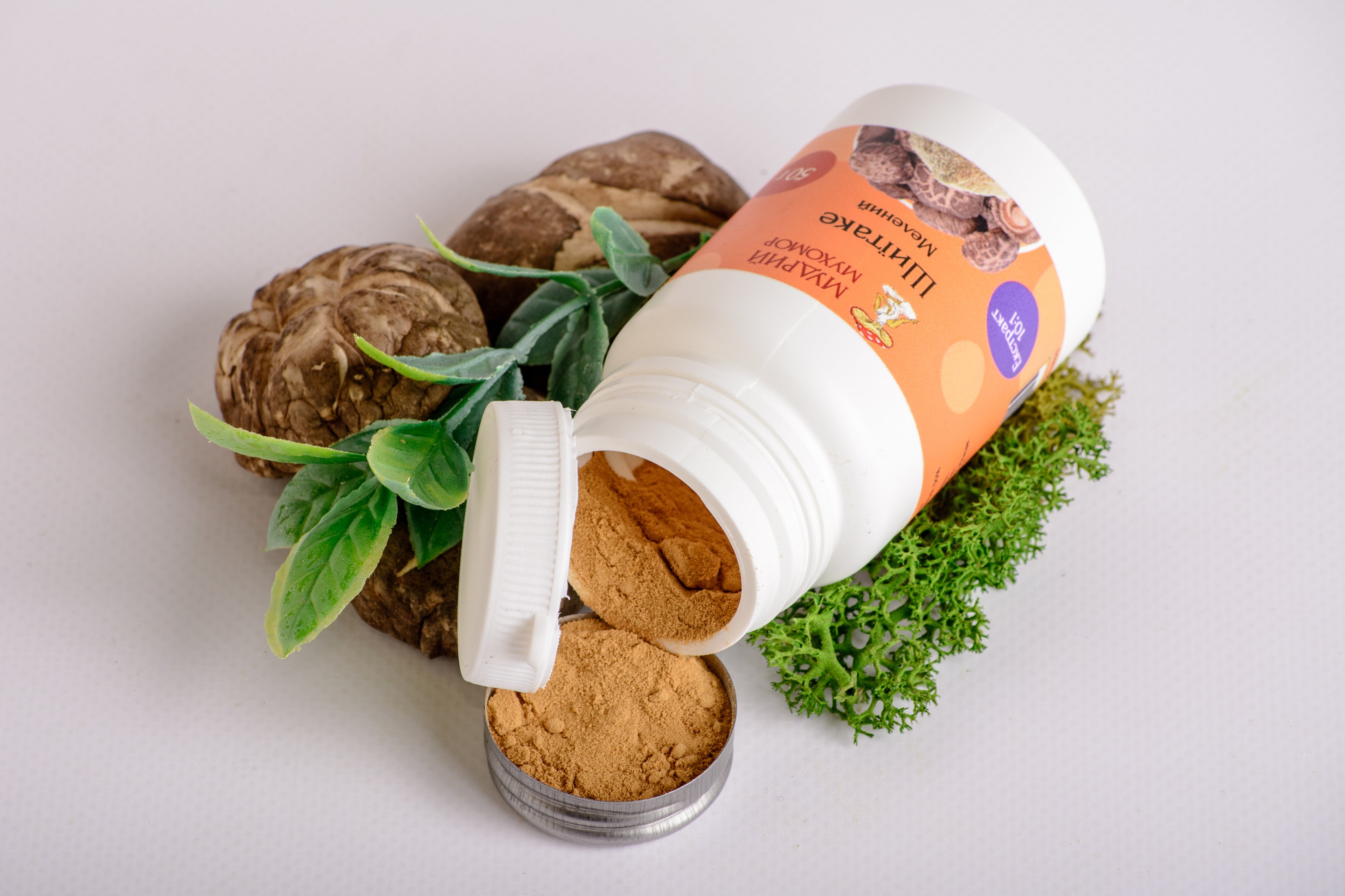 Екстракт Шиїтаке 10:1 мелений