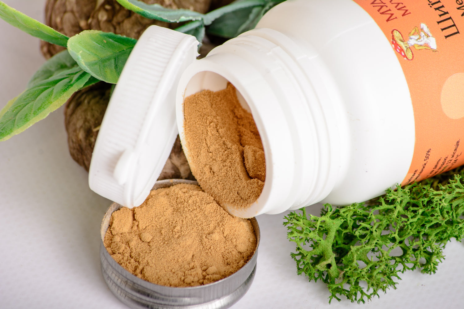 Екстракт Шиїтаке 10:1 мелений