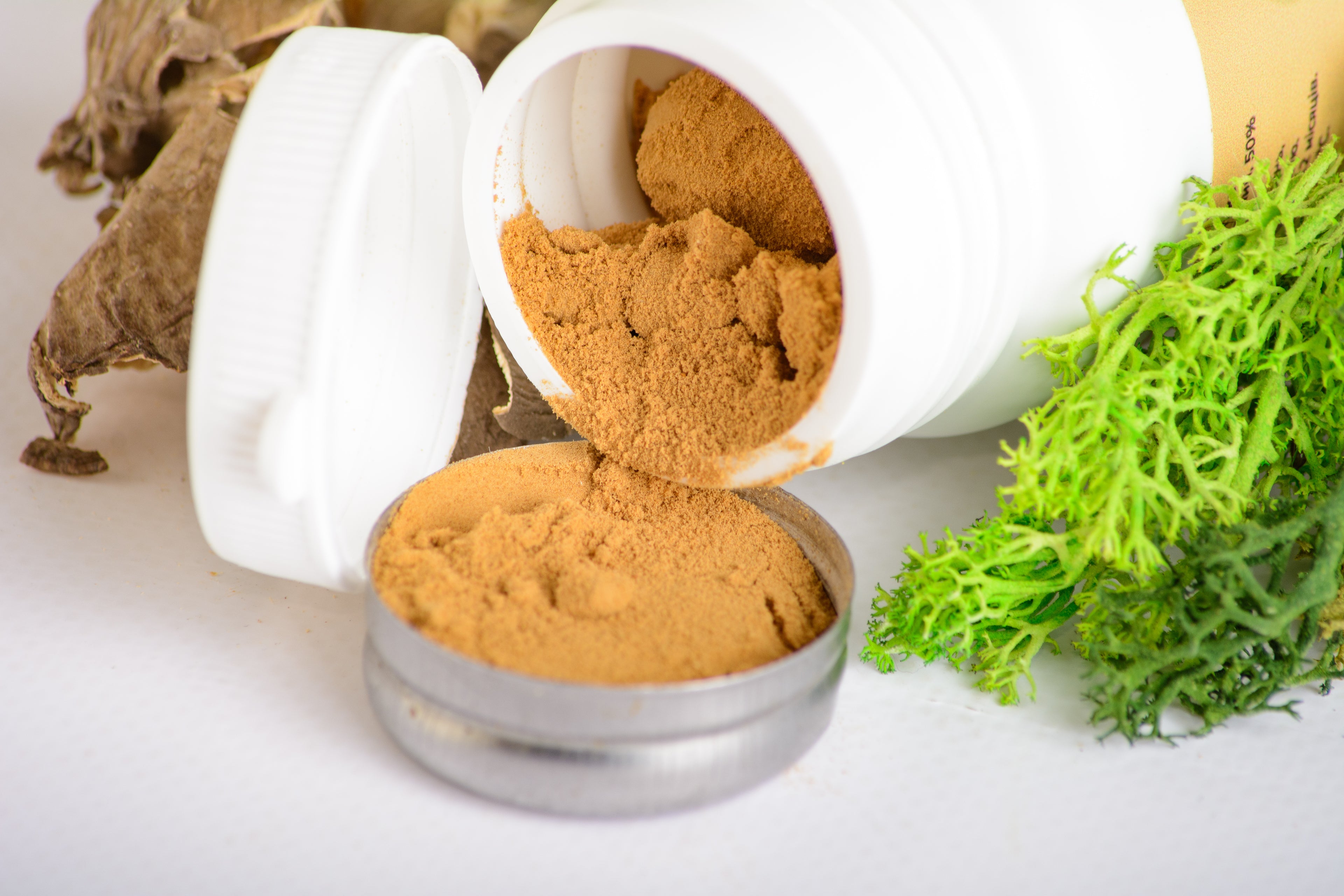 Екстракт Майтаке 10:1 мелений