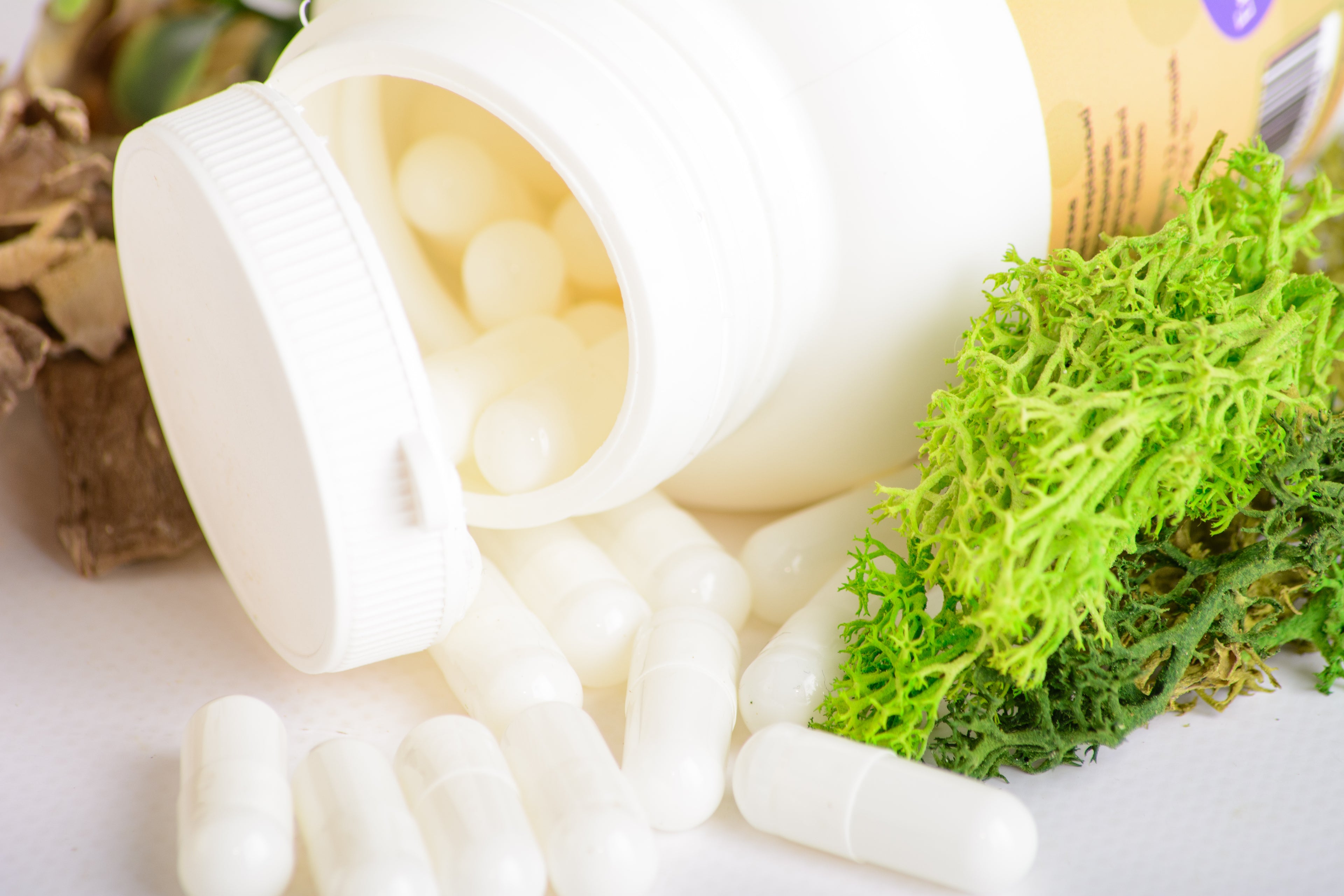 Екстракт Майтаке 10:1 в капсулах по 0.5 г