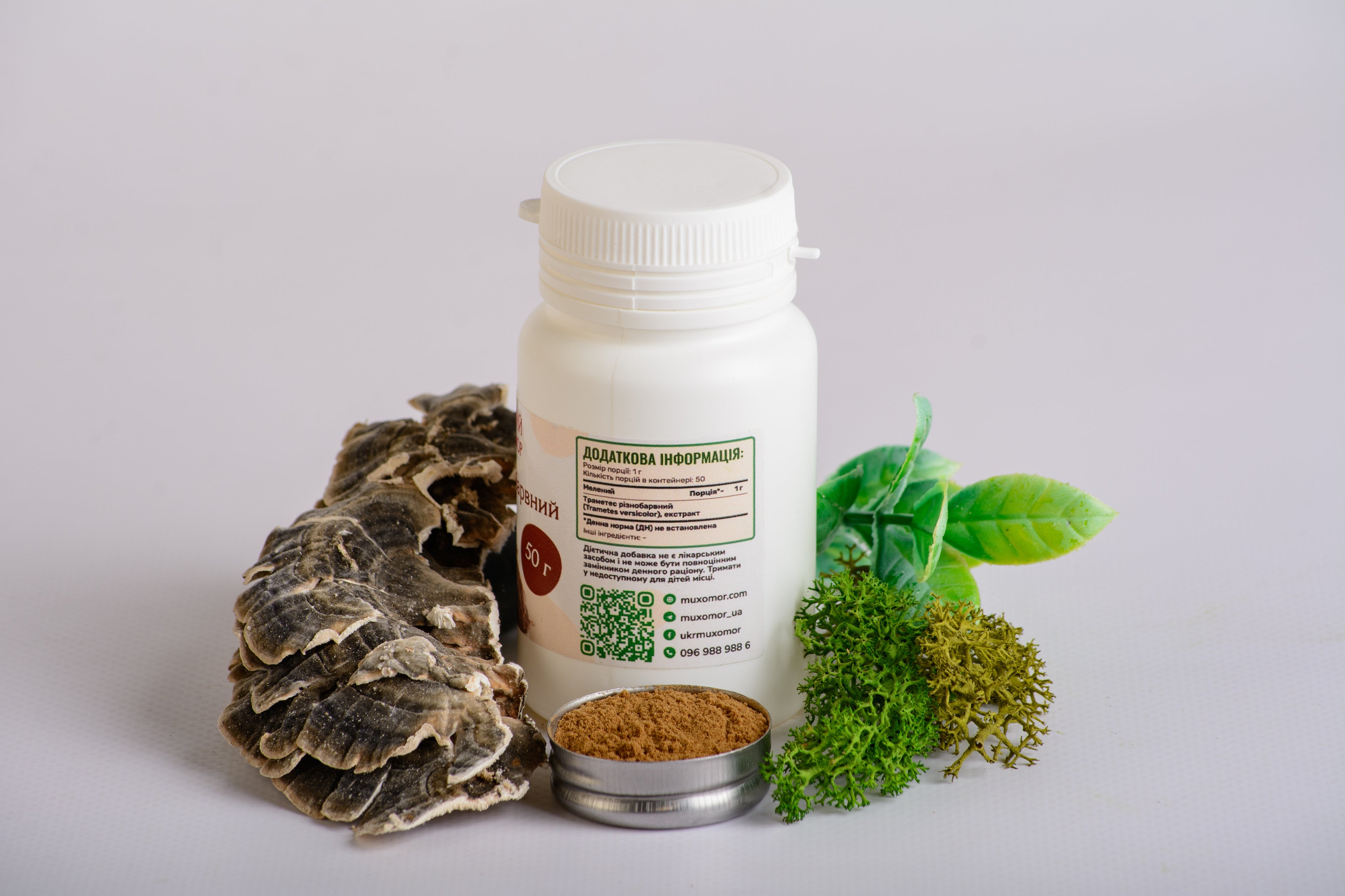 Екстракт Траметеса різнобарвного 10:1 мелений