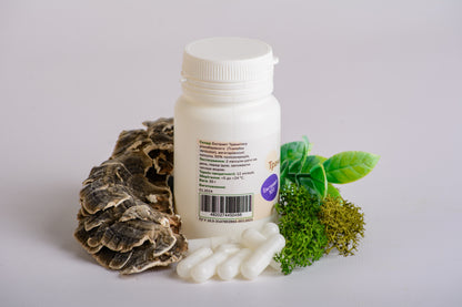 Екстракт Траметеса різнобарвного 10:1 у капсулах по 0.5 г