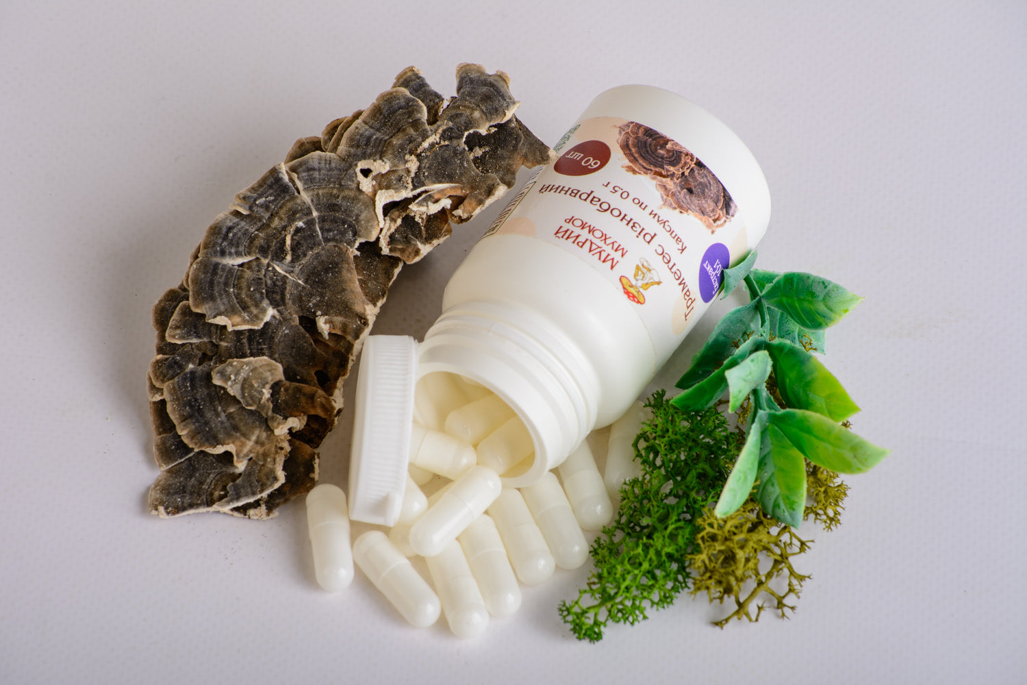 Екстракт Траметеса різнобарвного 10:1 у капсулах по 0.5 г