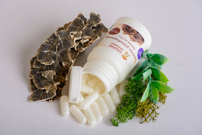 Екстракт Траметеса різнобарвного 10:1 у капсулах по 0.5 г