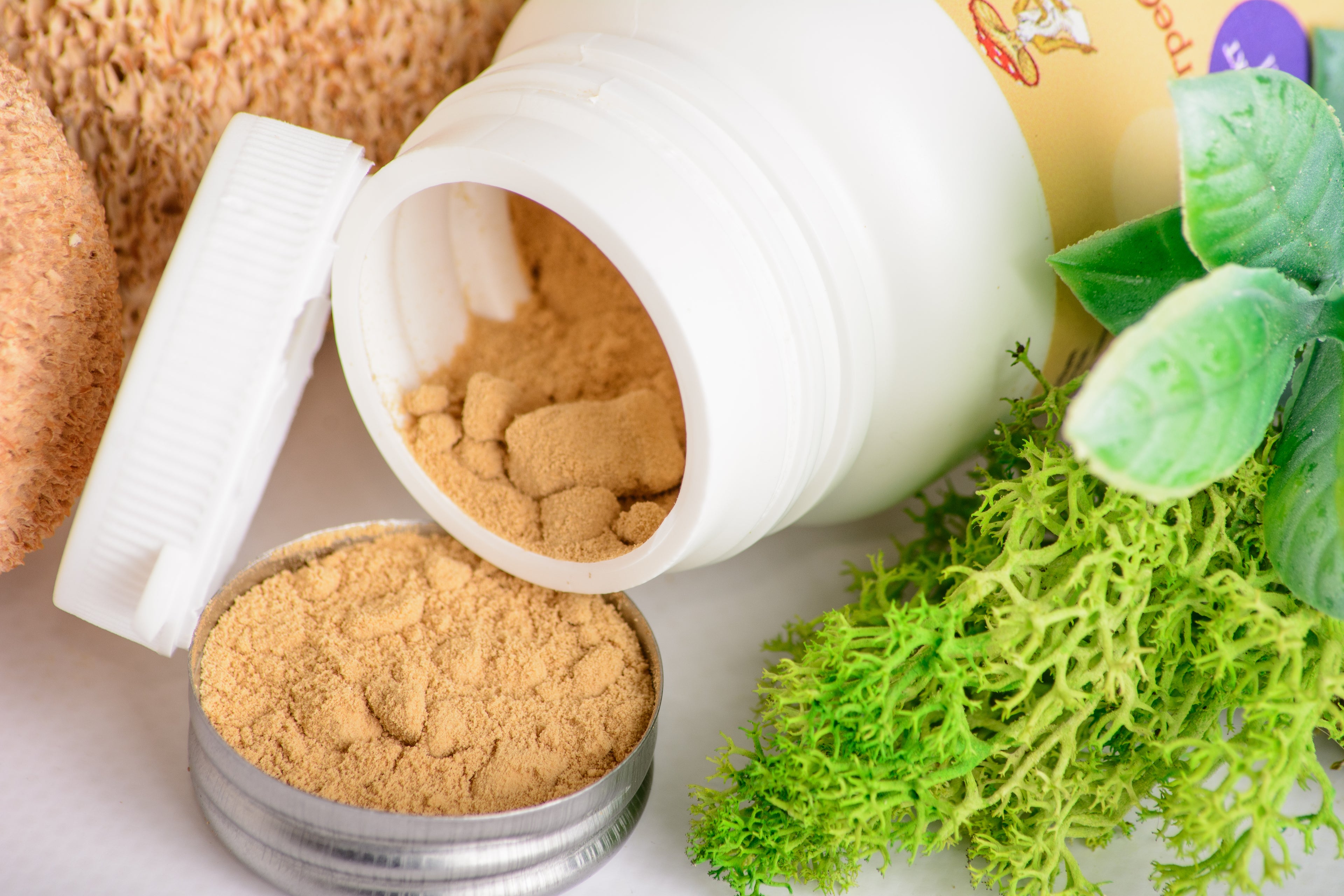 Екстракт Їжовика гребінчастого 10:1 мелений