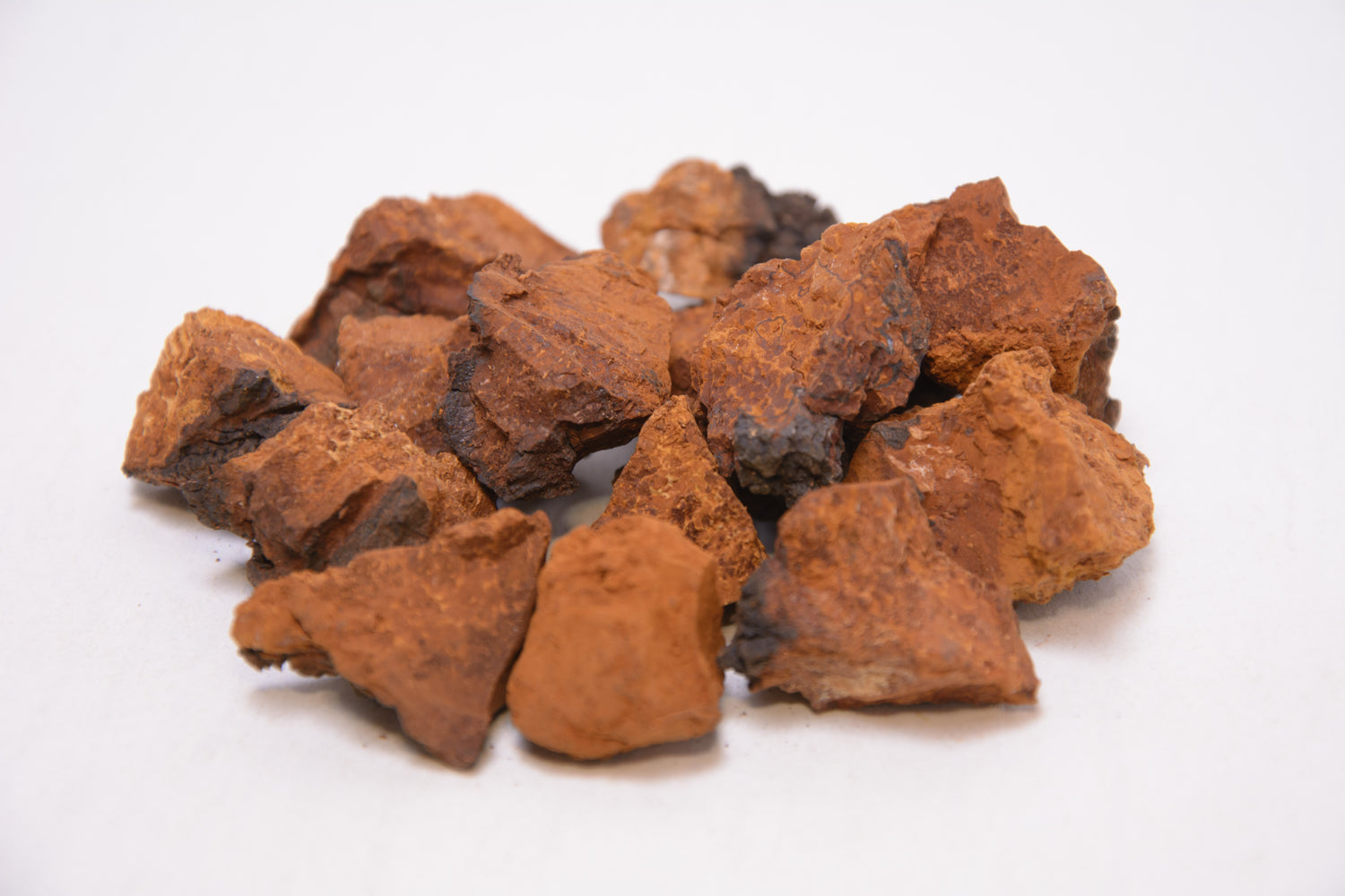 Березова Чага ціла