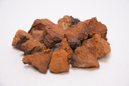 Березова Чага ціла