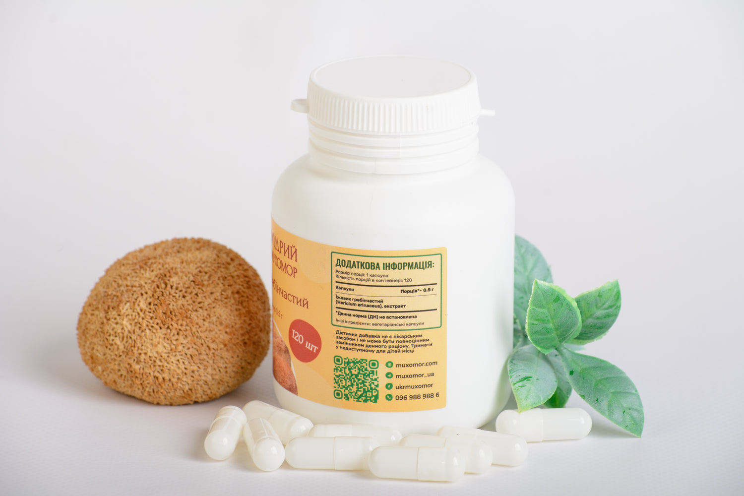 Екстракт Їжовика гребінчастого 10:1 у капсулах по 0.5 г