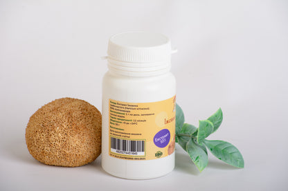 Екстракт Їжовика гребінчастого 10:1 мелений