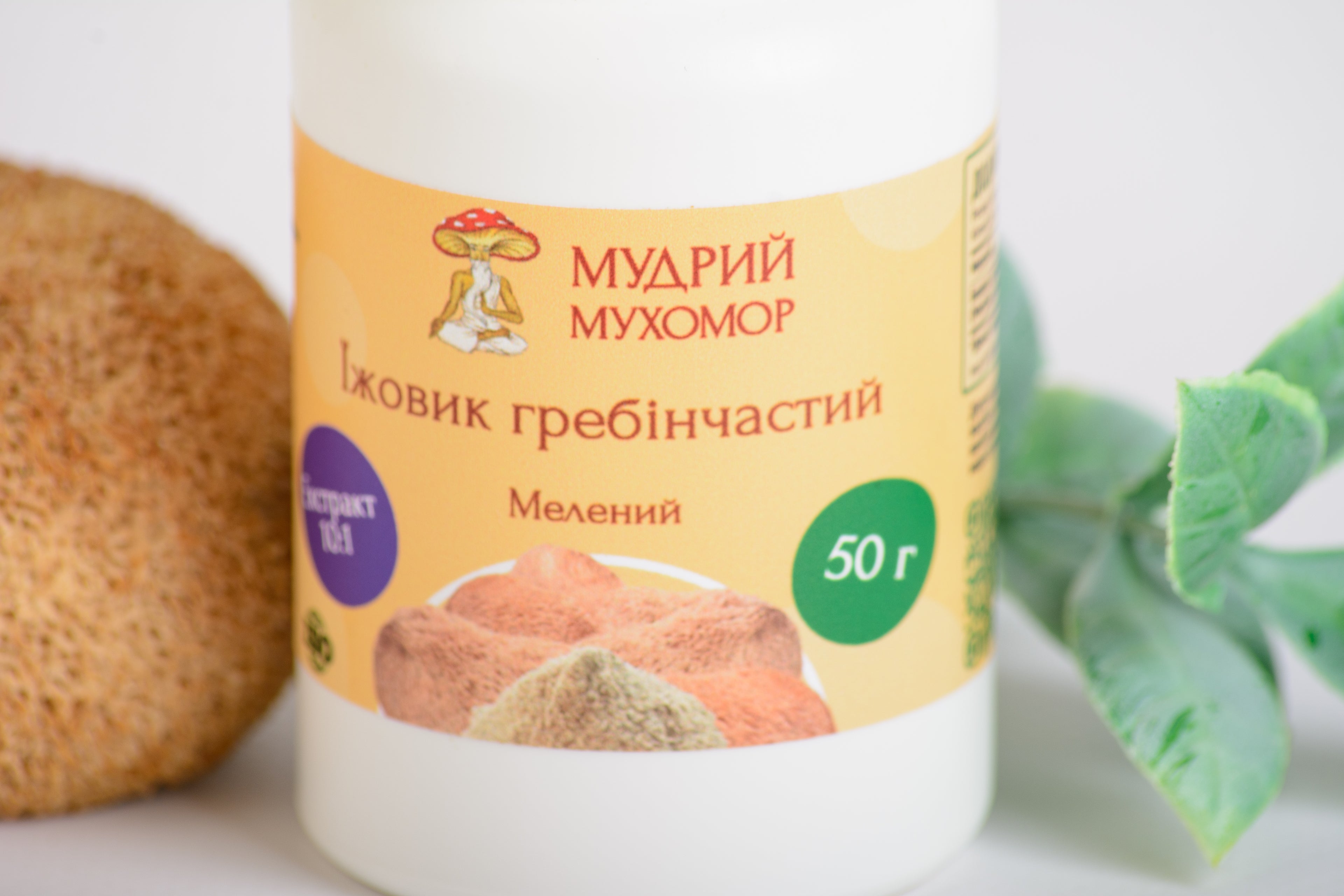 Екстракт Їжовика гребінчастого 10:1 мелений