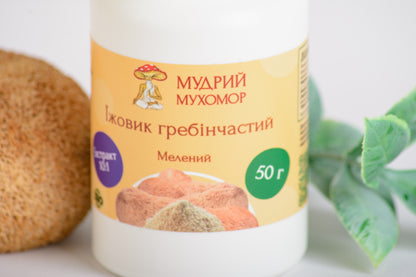 Екстракт Їжовика гребінчастого 10:1 мелений