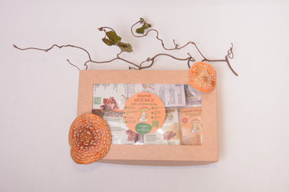 LITE - набір новачка