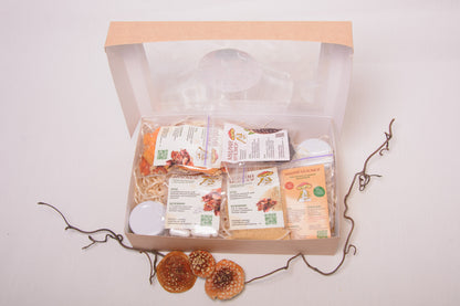 LITE - набір новачка