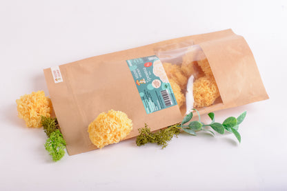 Цілі плодові тіла Тремели