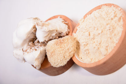 Їжовик гребінчаcтий міцелій, мелений