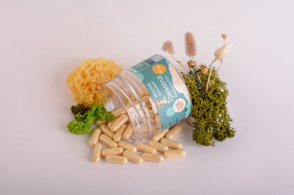 Тремела в капсулах по 0.5 г