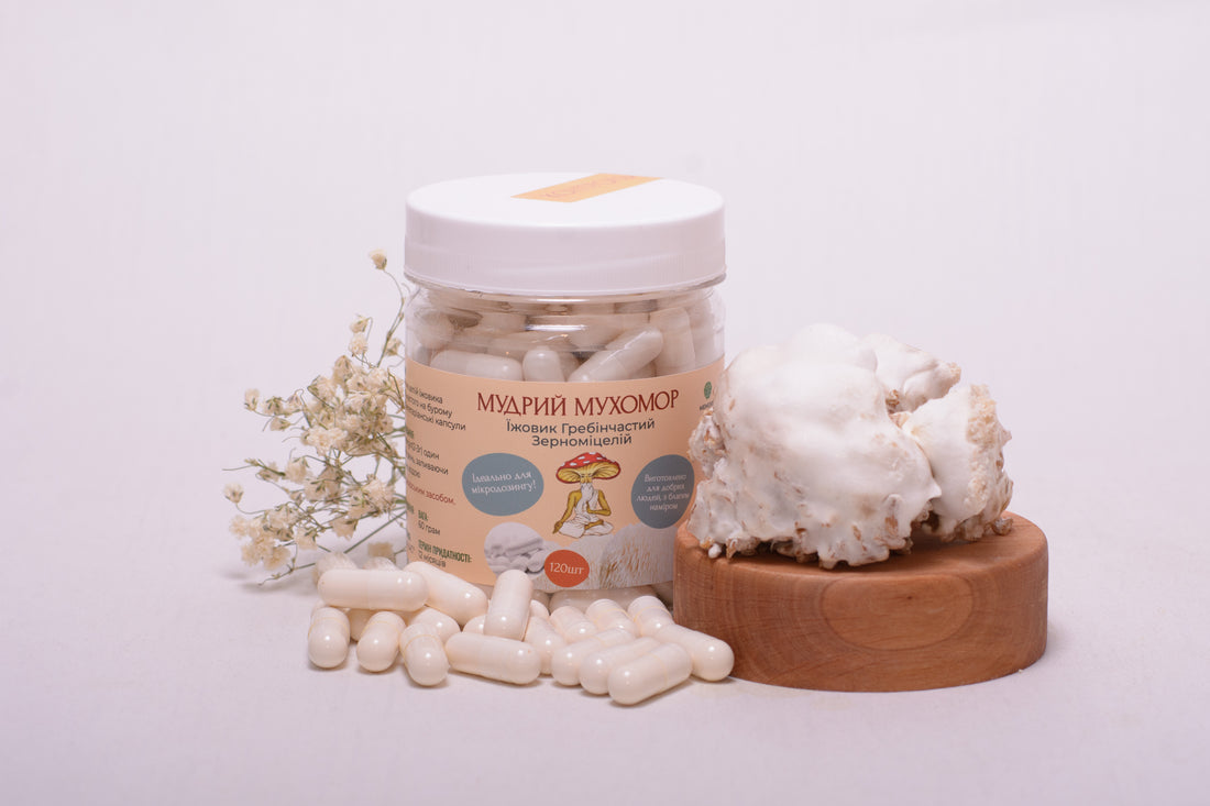 Їжовик гребінчаcтий міцелій в капсулах по 0.5 г