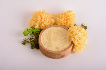 Екстракт Агаріка бразильського 10:1 мелений