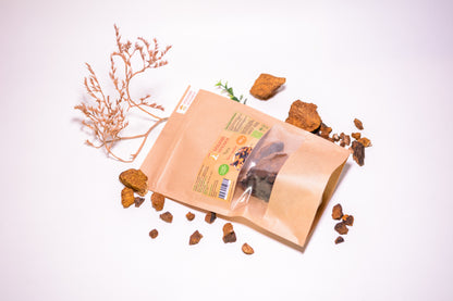 Березова Чага ціла